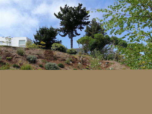Arriendo En Condominio Para Compartir- Cachagua