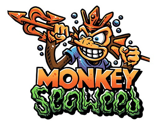 Imagen 4 de 4 de Algas Monkey Seaweed 500g Suelo Vivo