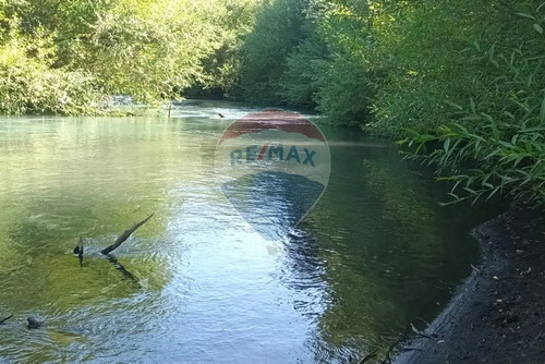 Venta Parcela De Campo Catripulli, Curarrehue