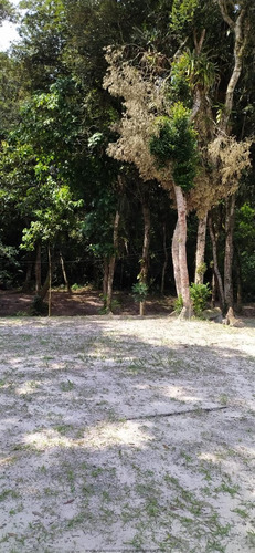 Imagem 10 de 29 de Chácaras Na Praia À Venda Em Itanhaem/sp - Compre O Seu Chácaras Na Praia Aqui! - 523329