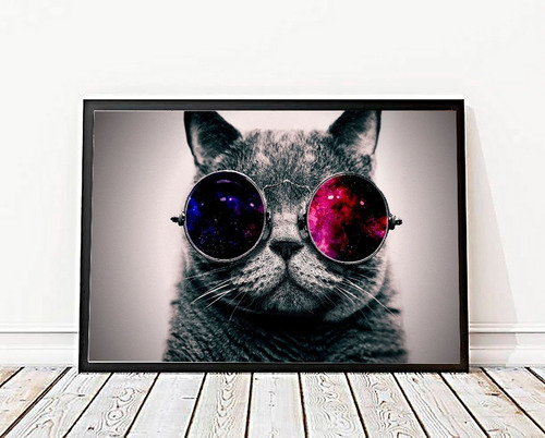 Quadro Decorativo Gato Com Óculos Emoldurado Poster A3 45x33