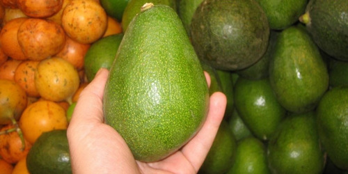 Imagen 7 de 10 de Combo 10 Arboles Frutales - Viv.hab.senasa-e.gratis Caba-gba