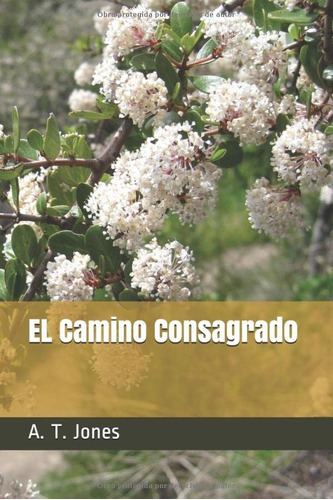 Libro: El Camino Consagrado (spanish Edition)