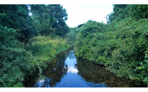 Sitio 5382m2 En Loteo Orilla Rio Llollelhue - Paillaco