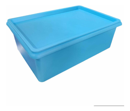 Caja Plástica Organizadora De 16 Litros