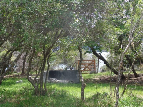 Imagen 5 de 24 de Fabienne Edelberg Fe Propiedades Venta 1/2 Hectérea Sobre Lago Meliquina - Peninsula Con Casa