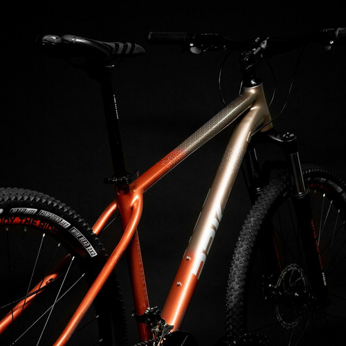 Mountain Bike Andrómeda R29 24v