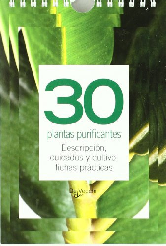 30 Plantas Purificantes Descripcion Cuidados Y Cultivo Fich, De Vvaa. Editorial De Vecchi, Tapa Blanda En Español, 9999