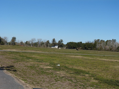 Imagen 6 de 16 de Terreno Lote En Venta Ubicado En Parada Robles, Exaltación De La Cruz, G.b.a. Zona Norte
