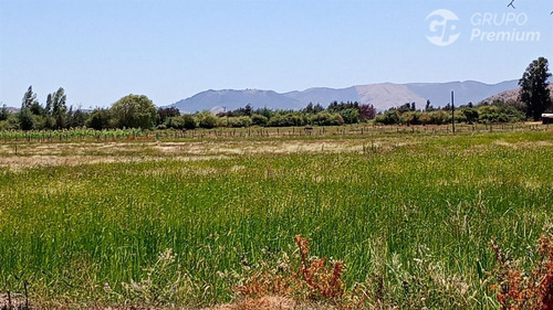 Parcela En Arriendo Anual Para Cultivo O Talaje En Linares