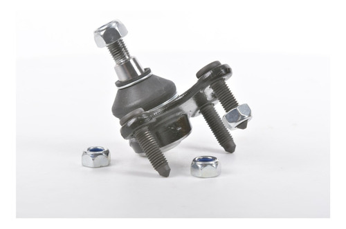 Rotula Inf Izq A3 04-17 Altea 06-15 Ateca 17-20 Beetle 12-19