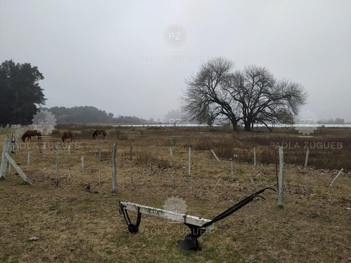 Imagen 20 de 25 de Terreno Campo En Venta En Berazategui, G.b.a. Zona Sur, Argentina