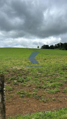 Lindo Terreno En Venta En Los Muermos
