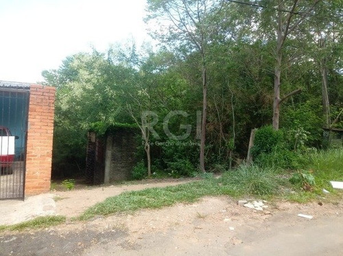 Terreno Em Hípica - Mi270533