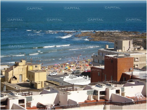 Apartamento En Peninsula, 2 Dormitorios *-ref:24846
