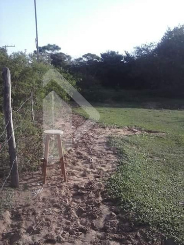Imagem 2 de 14 de Terreno - Olaria - Ref: 190510 - V-190510