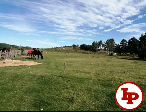 Campo De 13.5 Has Sobre Ruta, 2 Casas, Hermosa Vista