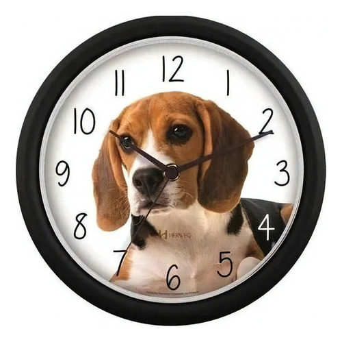 Relógio Parede Redondo Fofinho Cachorro Beagle Herweg 22cm Cor do fundo Branco