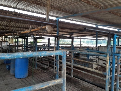 Imagen 4 de 8 de Eg Vende Granja Operativa Guacara Carabobo