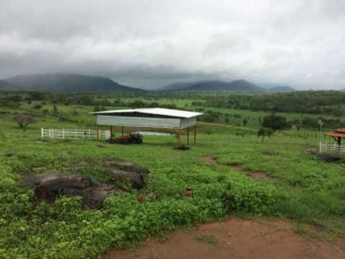 Imagem 9 de 9 de Fazenda Com 214 Tarefas A Venda Em Tanquinho - Afd007 - 70220002