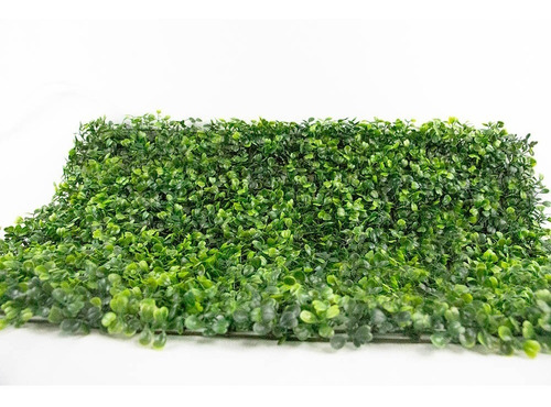 Imagen 5 de 8 de 25 Pzas Muro Verde Follaje Artificial Sintentico 60x40 Cm