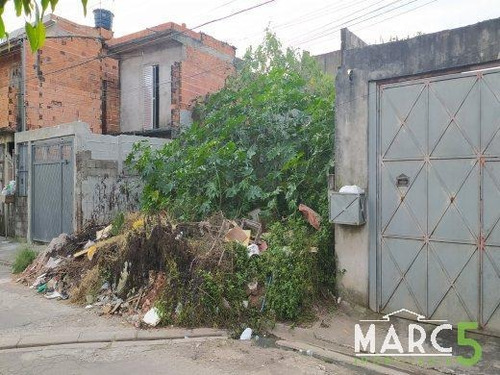 Imagem 9 de 9 de Terreno - Jardim Do Vale - 1854