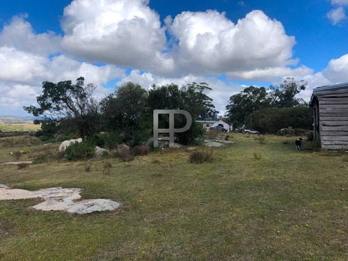 Imagen 5 de 12 de Campo En Venta Las Cañas 77 Hectáreas