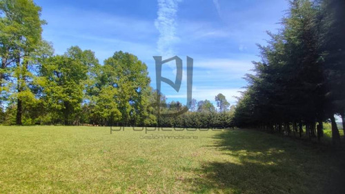 Imagen 13 de 25 de Venta De Parcela En Villarrica