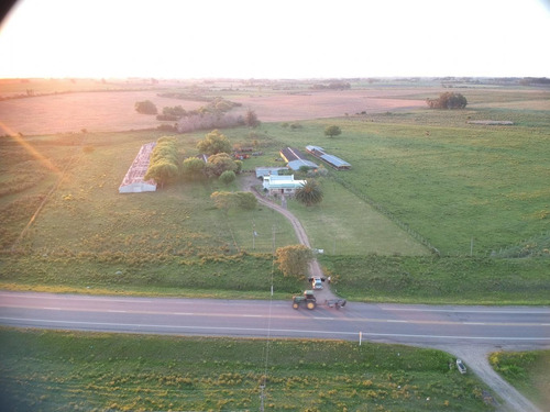 Imagen 3 de 24 de Chacra De 7 Hás Con Hermosa Casa En Inmejorable Ubicación