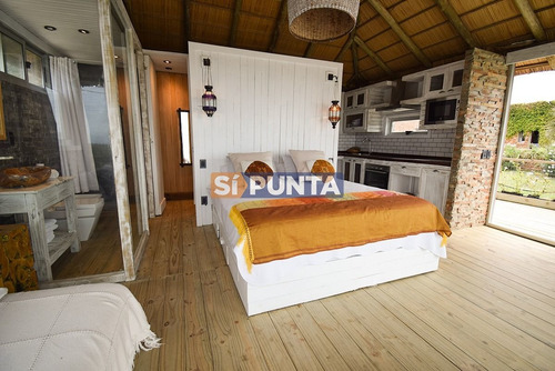 Imagen 20 de 30 de Disfrutar Del Placer De Punta Del Este Aquí