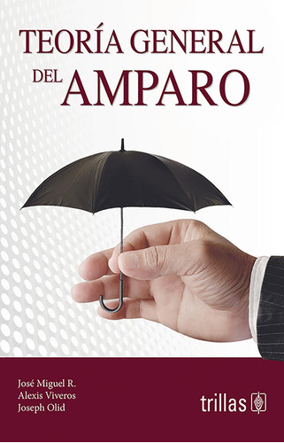 Libro Teoria General Del Amparo