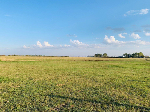 Lote - Estancia Las Moras - Ricardone - Todos Los Servicios