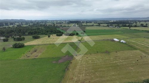Agrícola En Venta En Lago Ranco La Unión