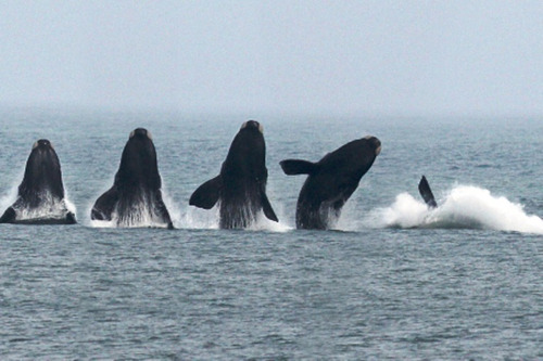 Imagen 4 de 13 de Lotes Céntricos Balneario La Esmeralda Rocha Uruguay Dueño