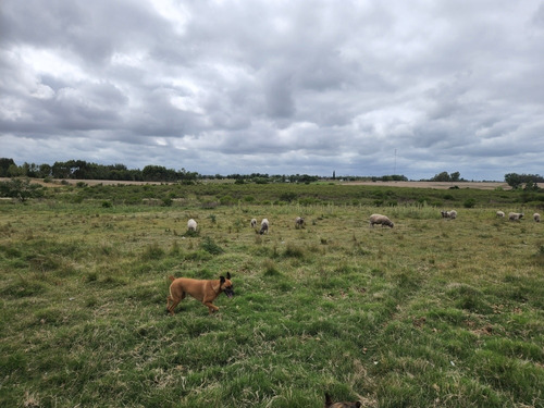 Campo Sobre Ruta