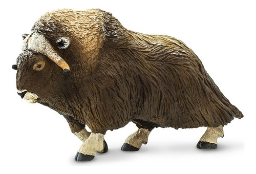 Buey Almizclero Mamifero Escala Safari Muñeco Animal Trex