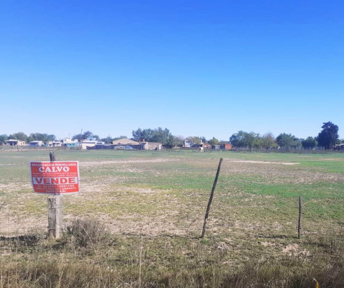 Oportunidad De Inversión: Quinta De 1 Hectárea Apta Para Loteo Ubicada En Suipacha, Provincia De Buenos Aires