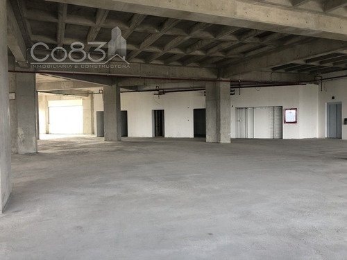Imagen 1 de 19 de Renta - Oficina - Insurgentes Sur - 720 M2 - Piso 1