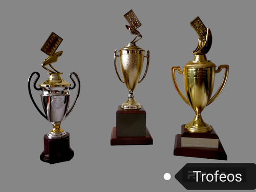 Trofeos Deportivos Copas De Domino