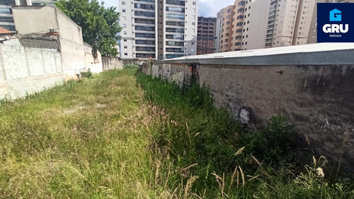 Imagem 3 de 3 de Ótimo Terreno Localizado Na Vila Progresso - Te990