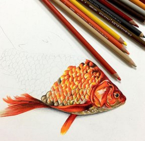 Imagen 2 de 5 de Colores Junior 4mm Redondos X15