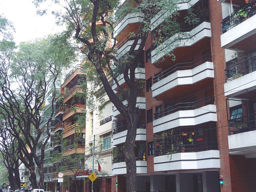 Imagen 13 de 30 de 2 Ambientes - A Mtrs De Av. Pedro Goyena. Caballito. Consultar Financiación.