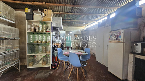 Casa En Venta Con Gran Metraje De Terreno - Carrasco