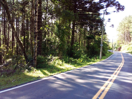 Terreno Em Gramado/rs Com 8,87 Hectares.