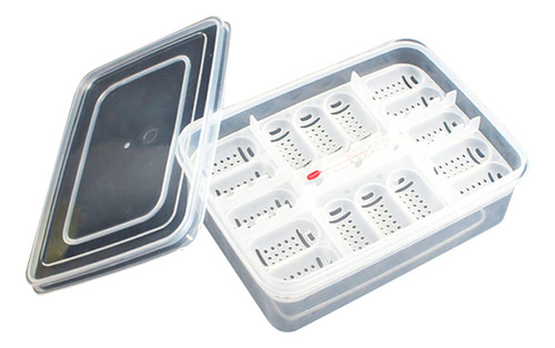 Caja De Incubación De Reptiles Con Caja De Reptiles