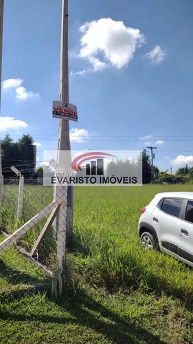 Chácara Para Venda Em Limeira, San Genaro - 4096_1-1669883
