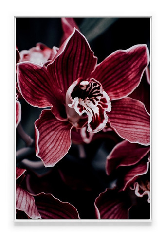 Quadro Para Sala Flor Orquídea Roxa E Branca 120x80 Moldura | Parcelamento  sem juros