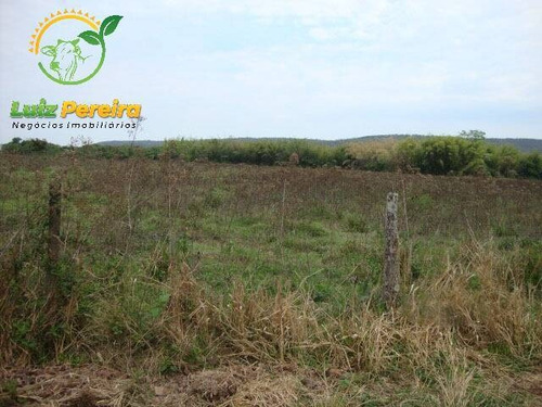Imagem 2 de 6 de Fazenda Á Venda Em Bandeirantes - Ms - 1.020 Hectares (dupla Aptidão) - 2026