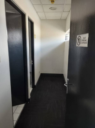 Imagen 6 de 16 de Lincoyan Concepción - En Edificio Corporativo
