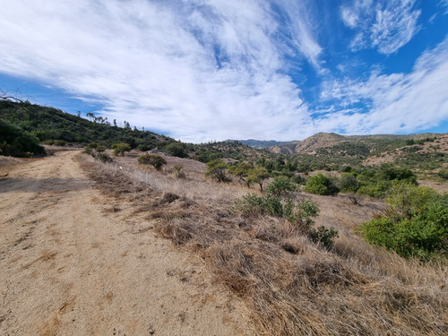Lote 5000 M2 En Ranquilhue, Pumanque Limite Con Marchigue